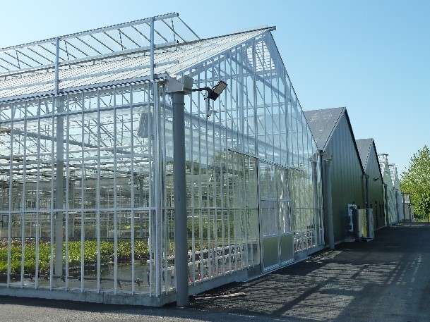 Serre verre mono chapelle