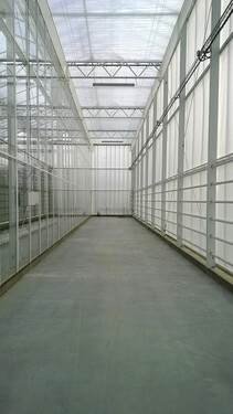 CTIFL (1)
