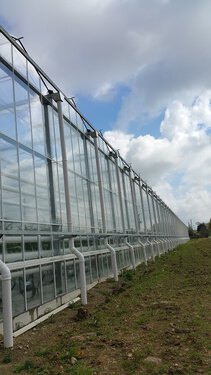 Les jardins du Perray (7)